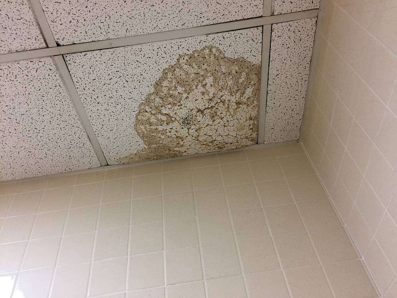 Ceiling panel stained and sagging from a pipe leak, the kind of damage we dry out in Gardena, CA 90247