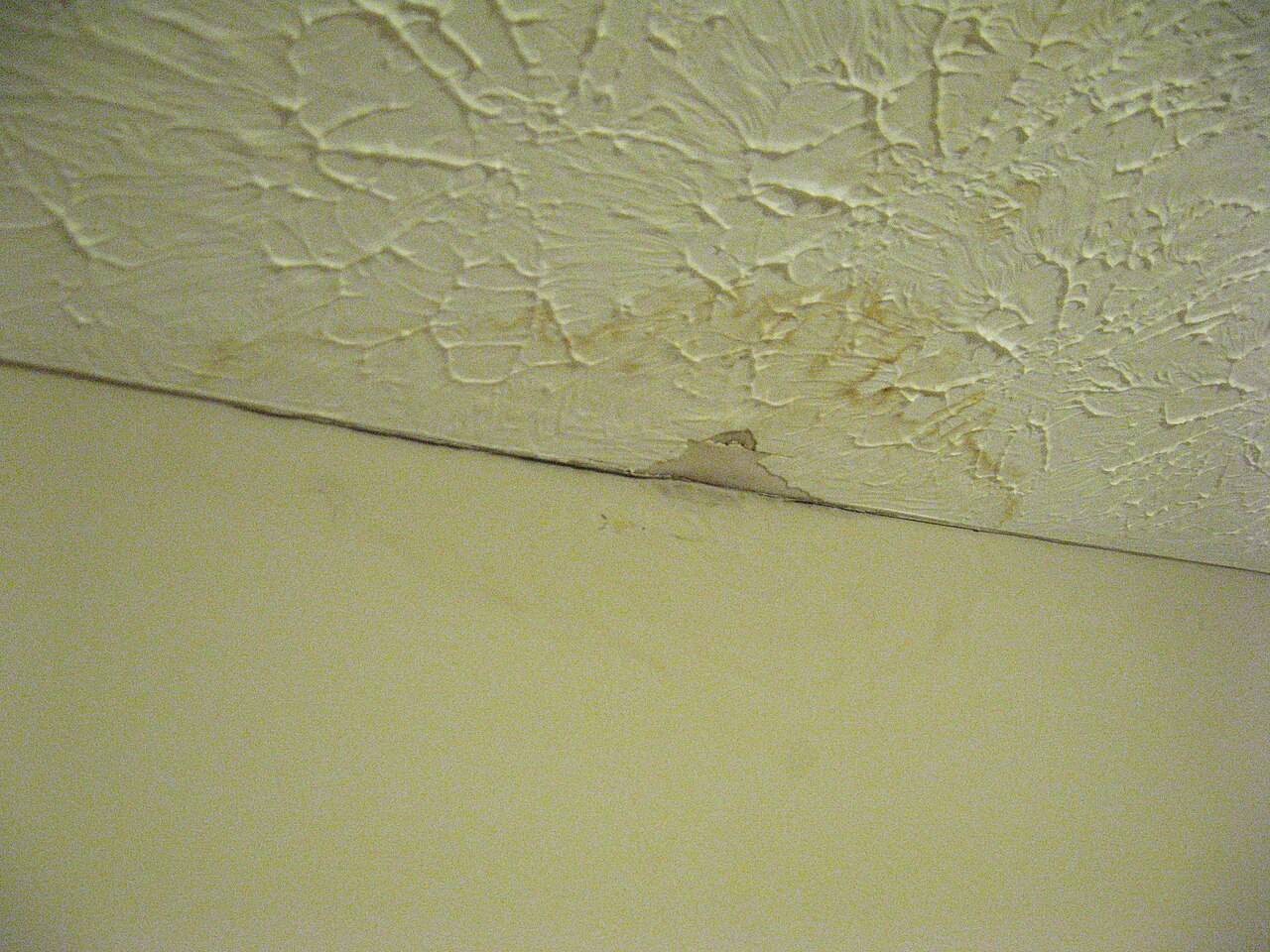 Brown water spot on a ceiling from a slow leak, a common call in Gardena, CA 90247 homes